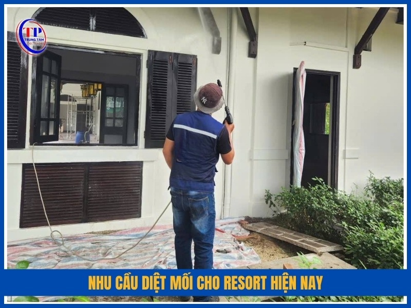 Nhu cầu diệt mối cho resort hiện nay