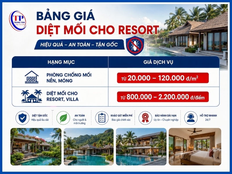Bảng giá diệt mối cho resort mới nhất