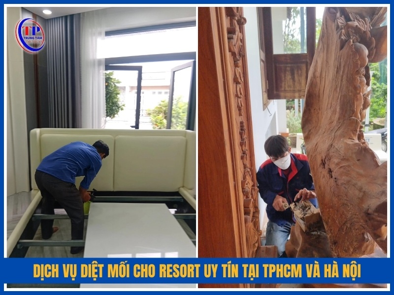 Dịch vụ diệt mối cho resort uy tín chuyên nghiệp tại TPHCM và Hà Nội