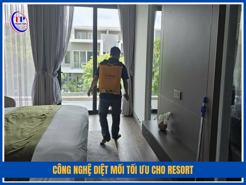 Công nghệ diệt mối tối ưu cho resort mà Trung Tâm Diệt Mối 24H sử dụng