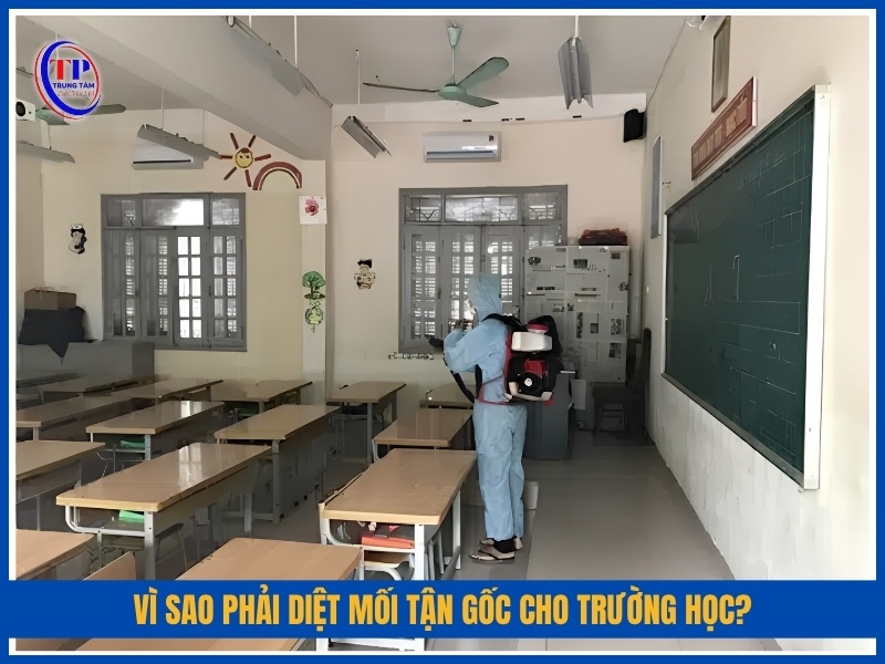 Vì sao phải diệt mối tận gốc cho trường học?