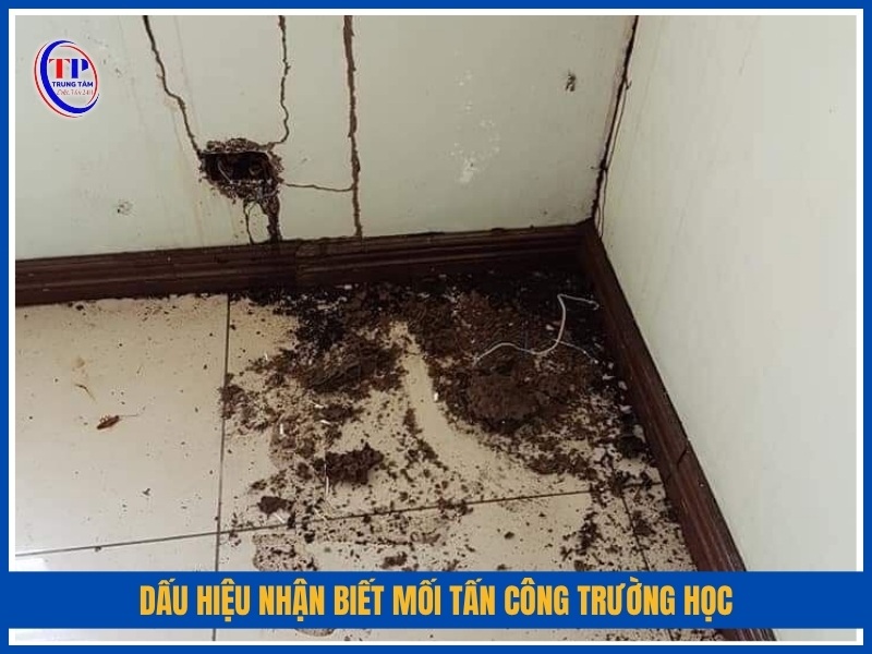 dấu hiệu nhận biết mối tấn công trường học