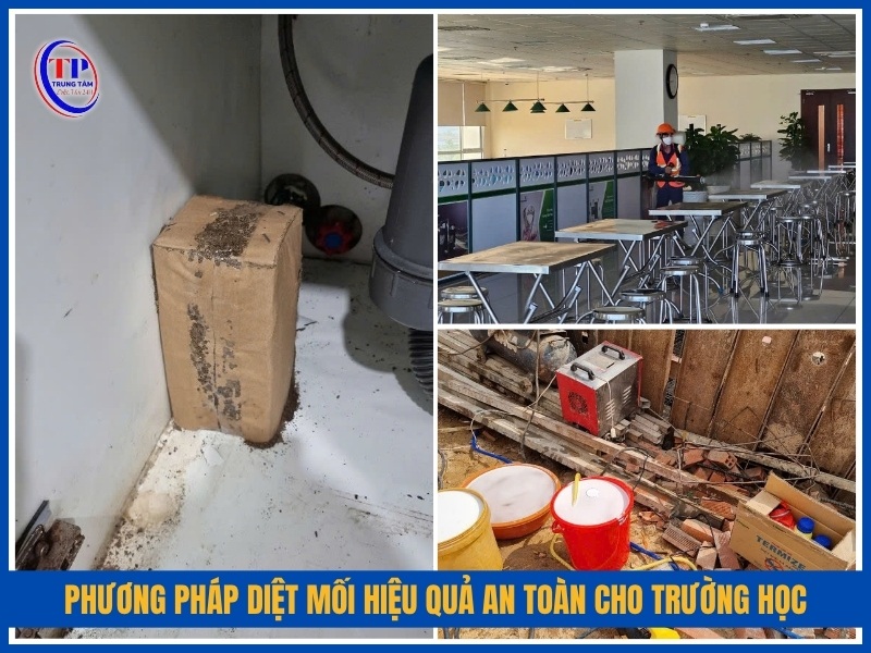 phương pháp diệt mối hiệu quả an toàn cho trường học