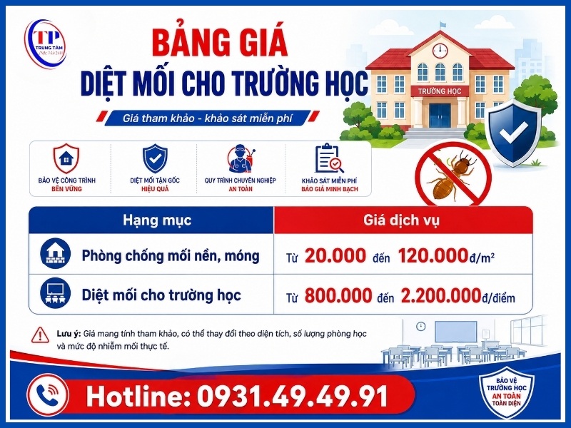 Bảng giá diệt mối cho trường học