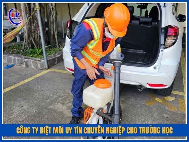 Công ty diệt mối uy tín chuyên nghiệp cho trường học