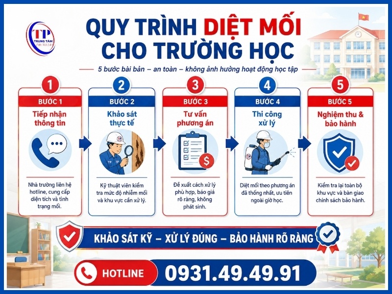 Quy trình 5 bước diệt mối cho trường học