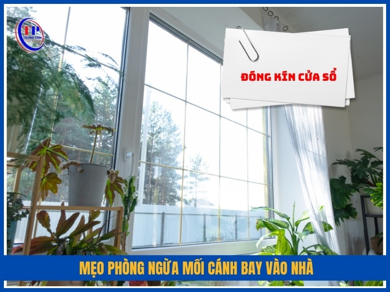 Mẹo phòng ngừa mối cánh bay vào nhà