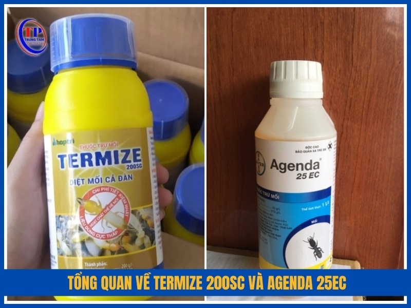 Tổng quan về Termize 200SC và Agenda 25EC