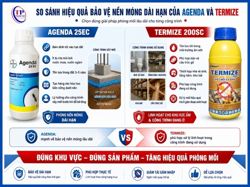So sánh hiệu quả bảo vệ nền móng dài hạn của Agenda và Termize