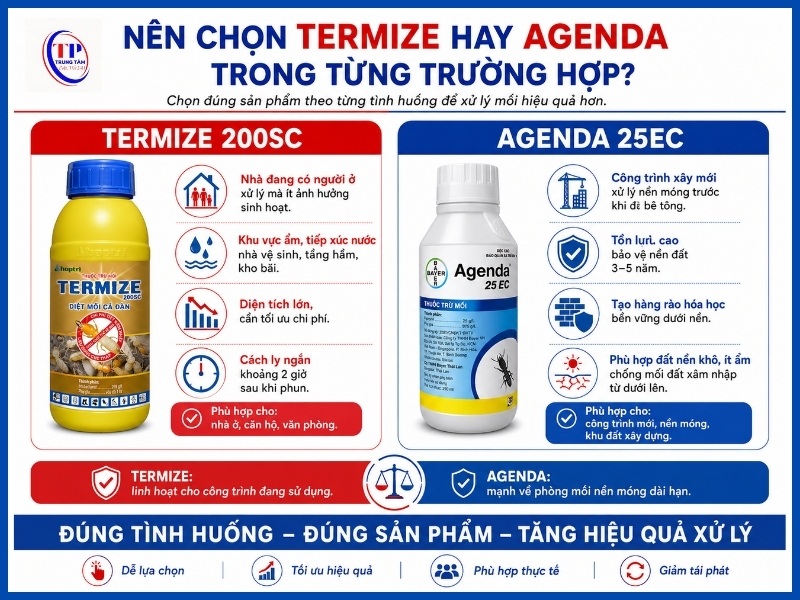 Nên chọn Termize hay Agenda trong từng trường hợp?