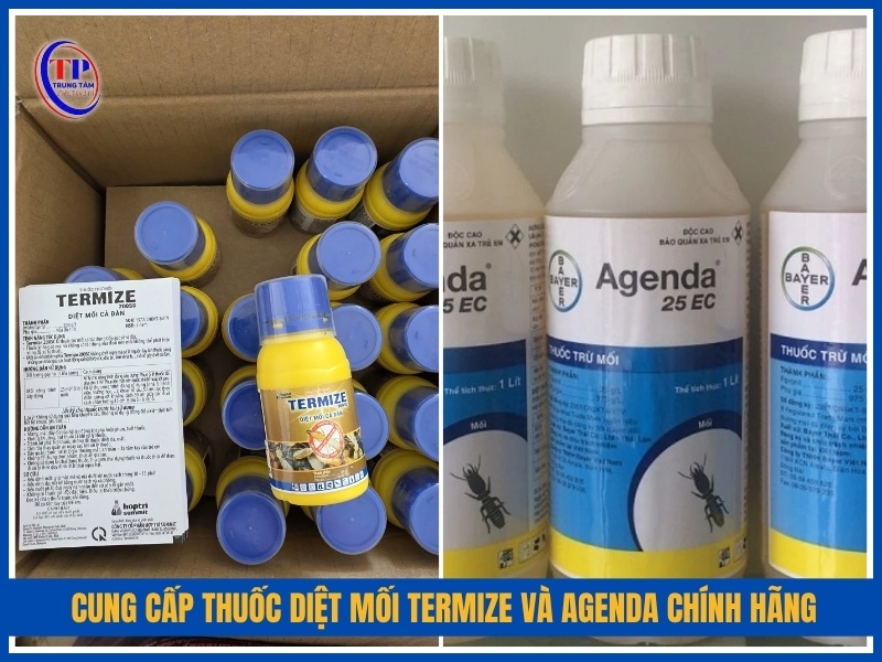 Đơn vị cung cấp thuốc diệt mối Termize và Agenda chính hãng tại TPHCM