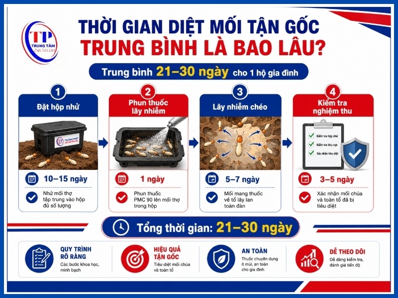 Thời gian diệt mối tận gốc trung bình là bao lâu?