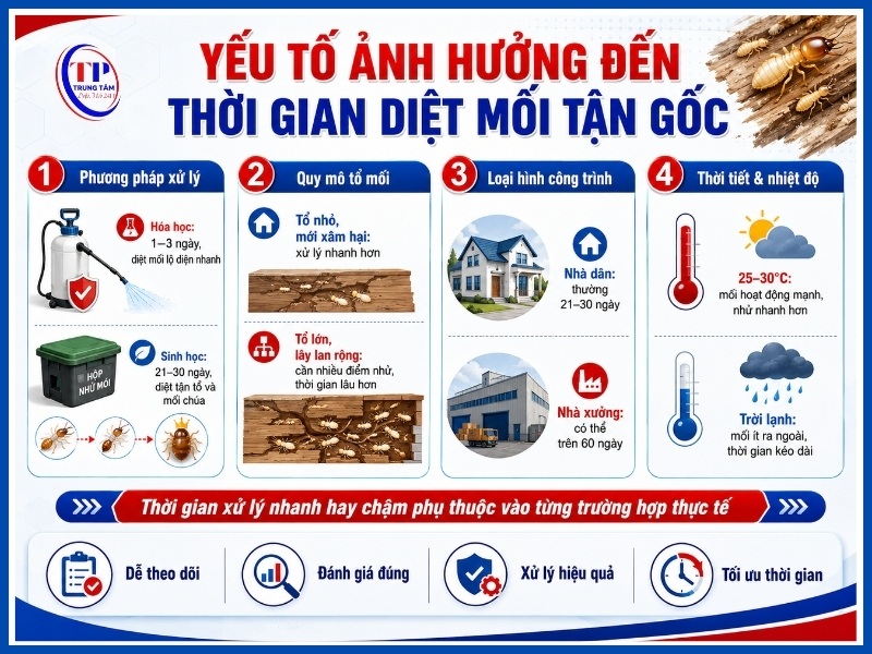 yếu tố ảnh hưởng đến thời gian diệt mối tận gốc