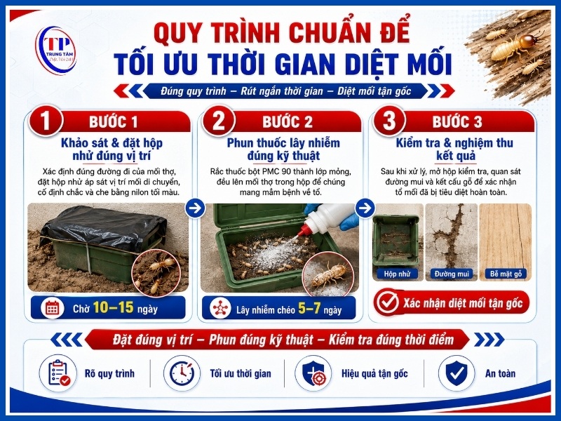 Quy trình 3 bước chuẩn để tối ưu thời gian diệt mối