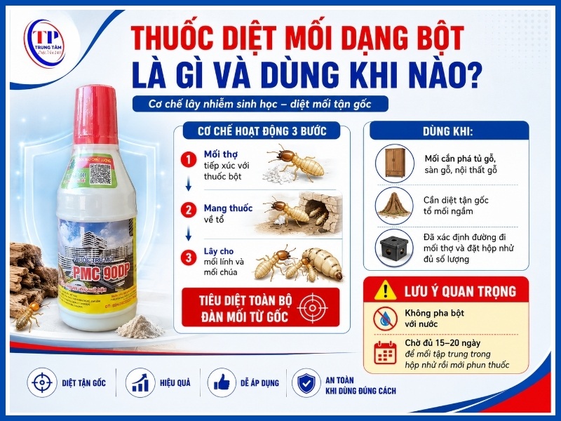 Thuốc diệt mối dạng bột là gì và dùng khi nào