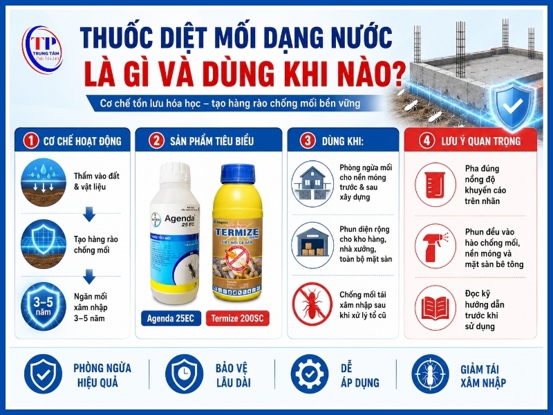 Thuốc diệt mối dạng nước là gì và dùng khi nào?