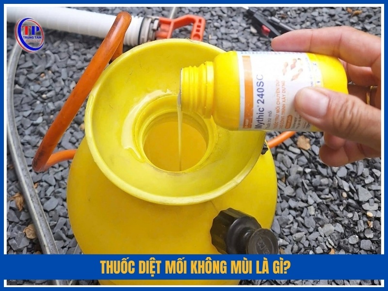Thuốc diệt mối không mùi là gì?