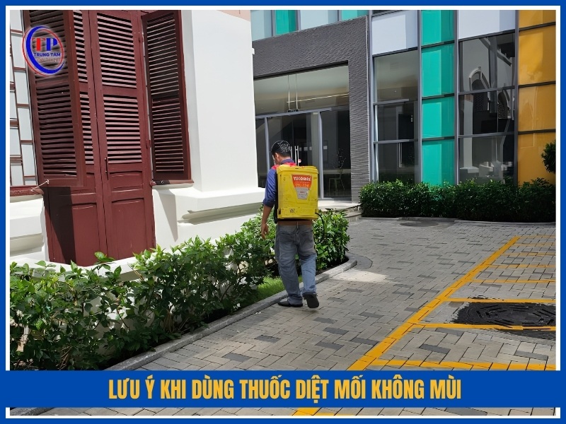 lưu ý khi dùng thuốc diệt mối không mùi