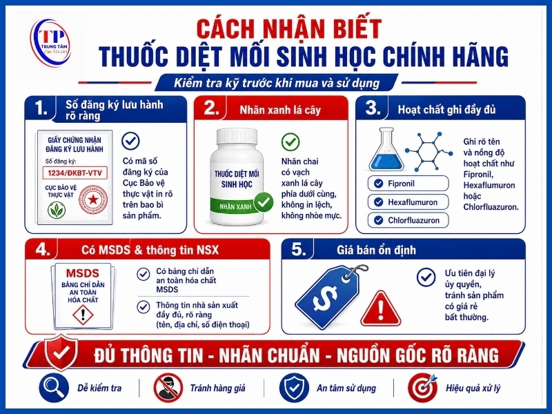 Cách nhận biết thuốc diệt mối sinh học chính hãng