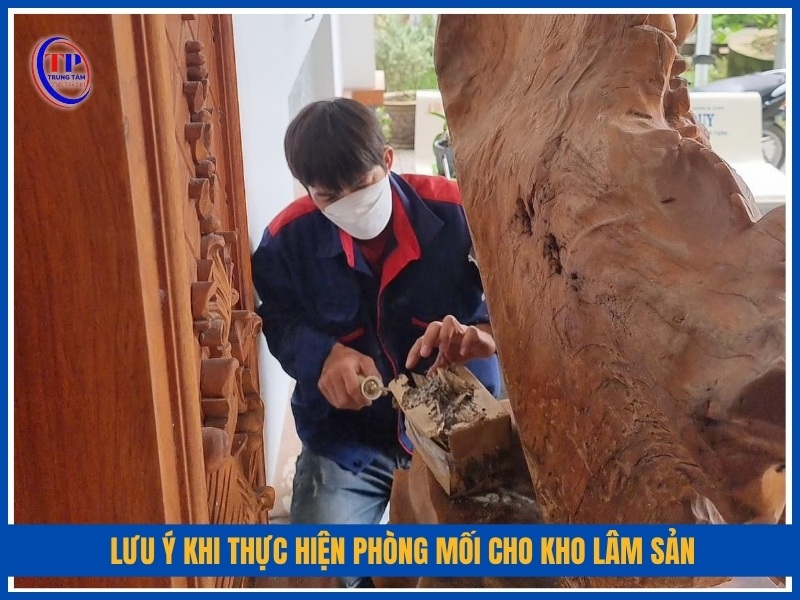 lưu ý khi thực hiện phòng mối cho kho lâm sản