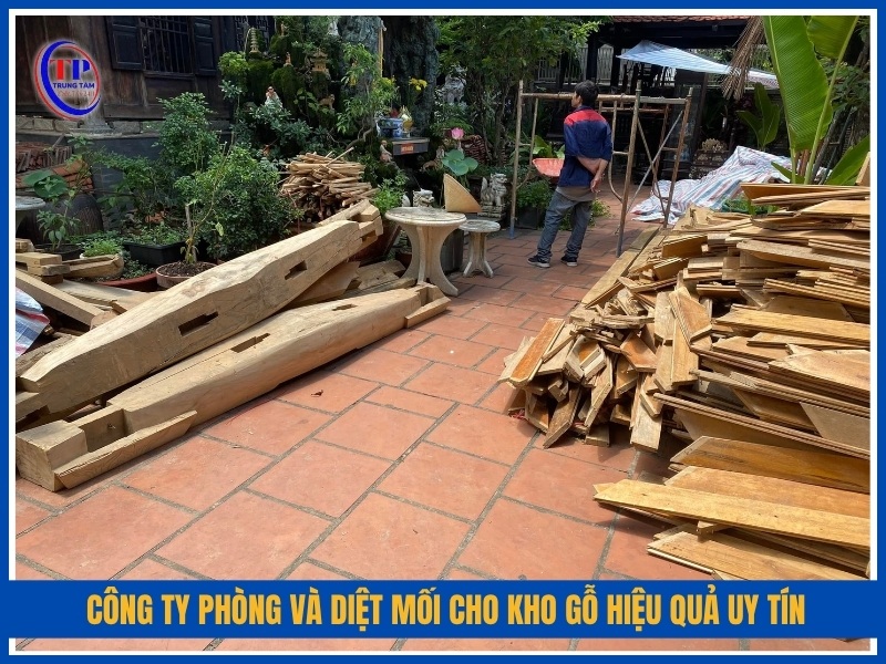 Công ty phòng và diệt mối cho kho gỗ hiệu quả uy tín