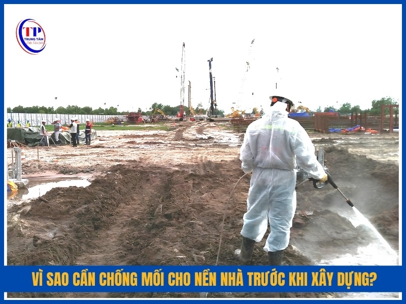 Vì sao cần chống mối cho nền nhà trước khi xây dựng?