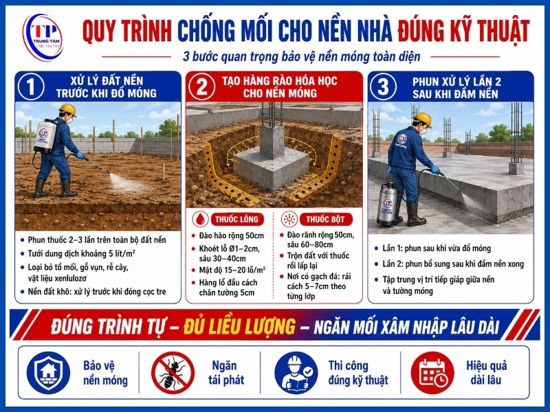 Quy trình chống mối cho nền nhà đúng kỹ thuật