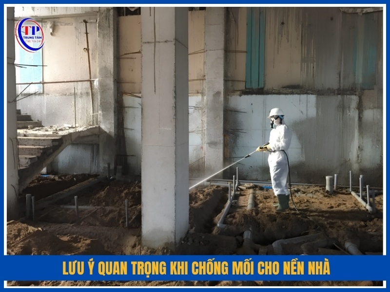 lưu ý quan trọng khi chống mối cho nền nhà