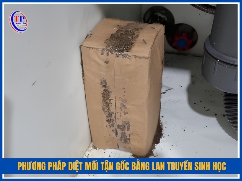 Phương pháp diệt mối tận gốc bằng lan truyền sinh học là gì?