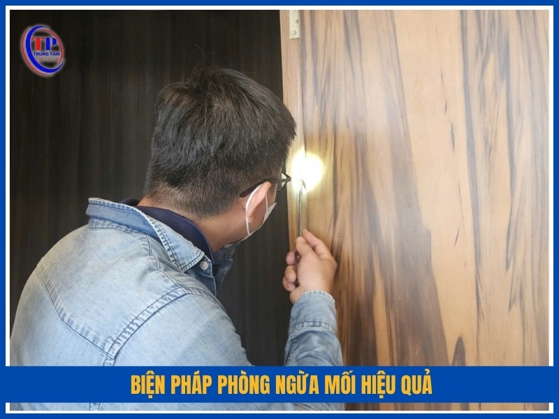 Biện pháp phòng ngừa mối hiệu quả