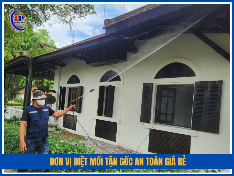 Đơn vị diệt mối tận gốc an toàn giá rẻ