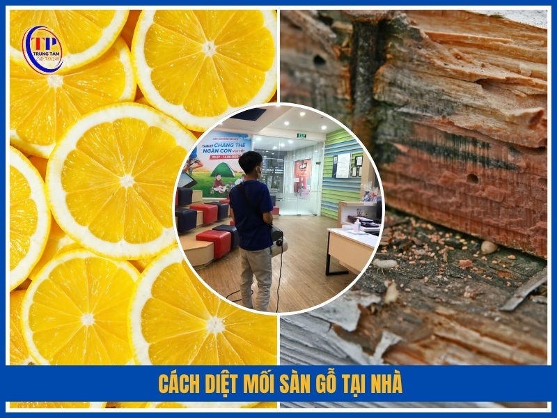 Cách diệt mối sàn gỗ tại nhà