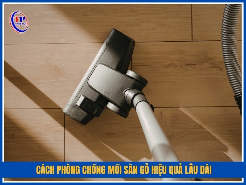 Cách phòng chống mối sàn gỗ hiệu quả lâu dài