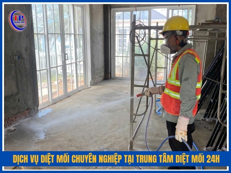 Dịch vụ diệt mối chuyên nghiệp tại Trung Tâm Diệt Mối 24H