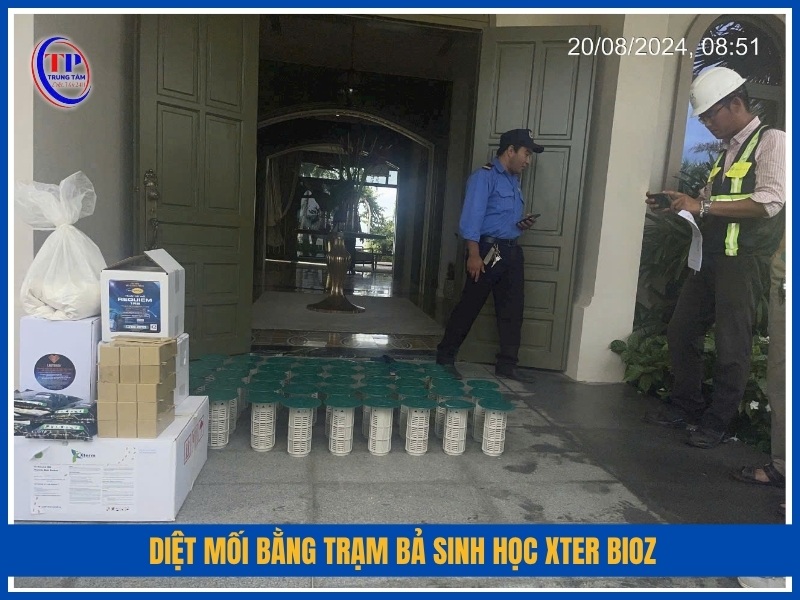 Diệt mối bằng trạm bả sinh học XTER Bioz
