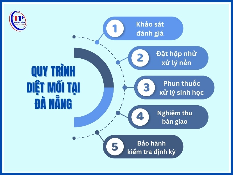 Quy trình diệt mối chuyên nghiệp tại Đà Nẵng