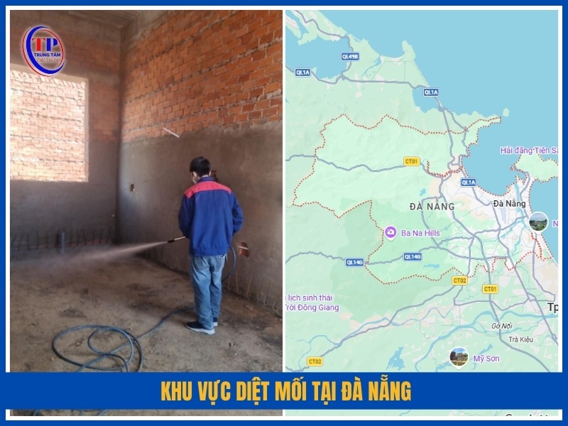 Khu vực diệt mối tại Đà Nẵng