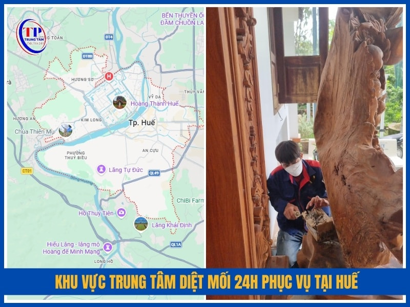Khu vực Trung Tâm Diệt Mối 24H phục vụ tại Huế