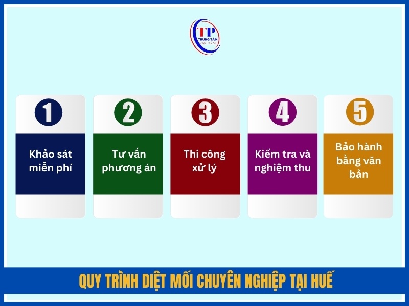 Quy trình diệt mối chuyên nghiệp tại Huế