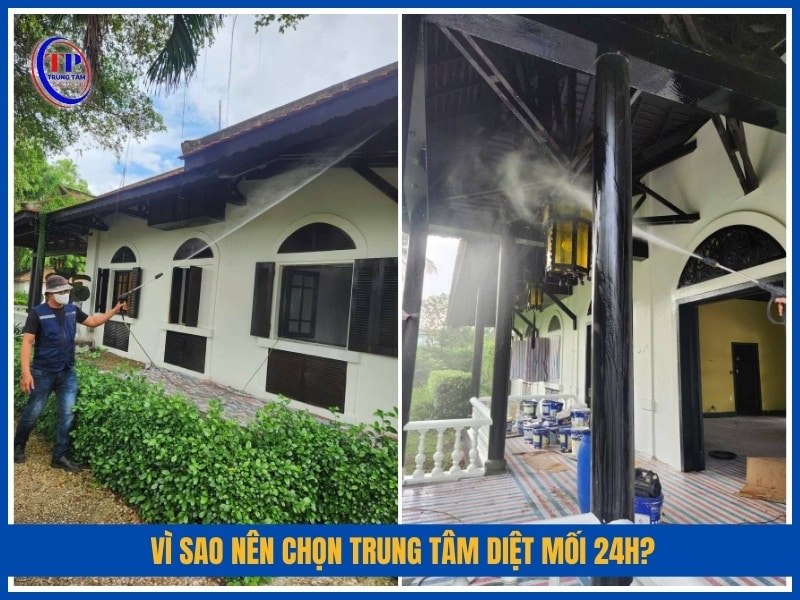 Vì sao nên chọn Trung Tâm Diệt Mối 24H?