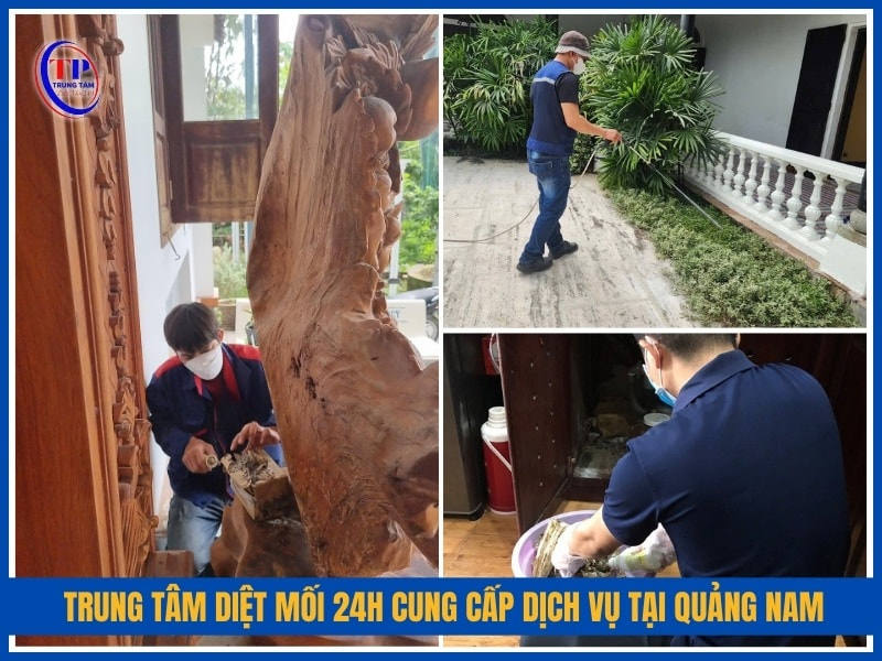 Trung Tâm Diệt Mối 24H cung cấp dịch vụ tại Quảng Nam