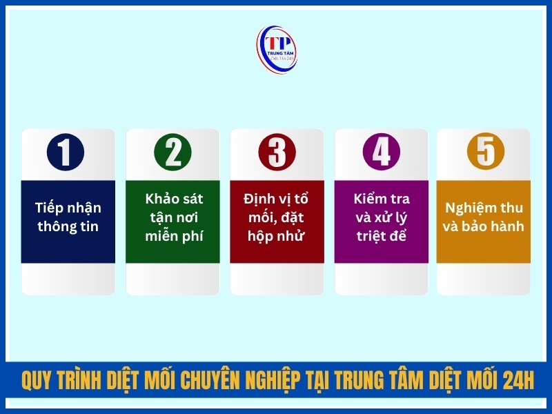 Quy trình diệt mối chuyên nghiệp tại Trung Tâm Diệt Mối 24H