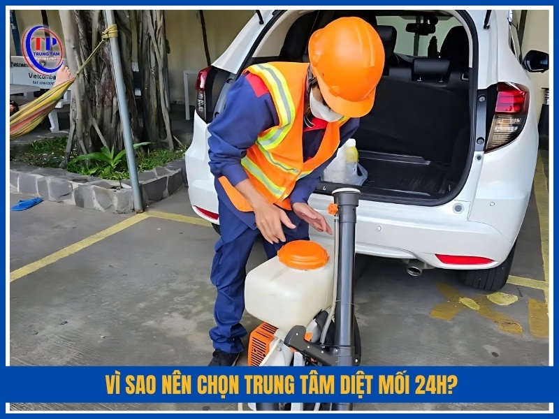 Vì sao nên chọn Trung Tâm Diệt Mối 24H?
