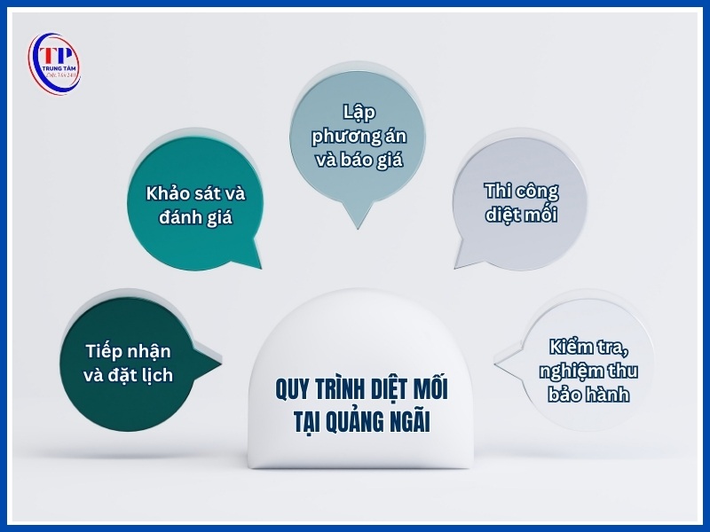 Quy trình diệt mối tại Quảng Ngãi chuyên nghiệp