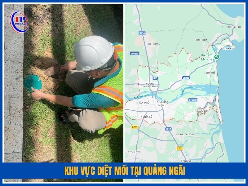 Khu vực diệt mối tại Quảng Ngãi