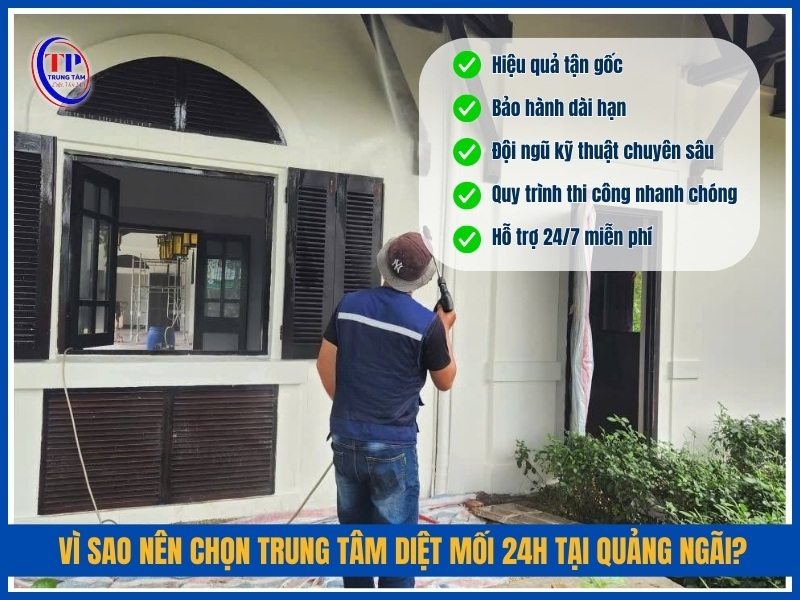 Vì sao nên chọn Trung Tâm Diệt Mối 24H tại Quảng Ngãi?