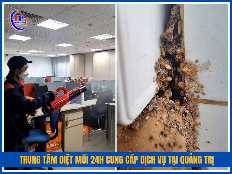 Trung Tâm Diệt Mối 24H cung cấp dịch vụ tại Quảng Trị