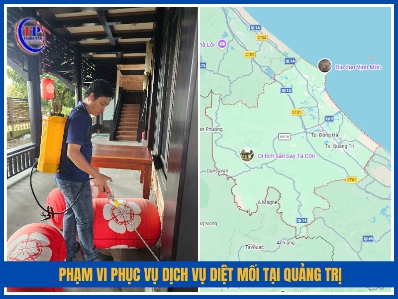 Phạm vi phục vụ dịch vụ diệt mối tại Quảng Trị