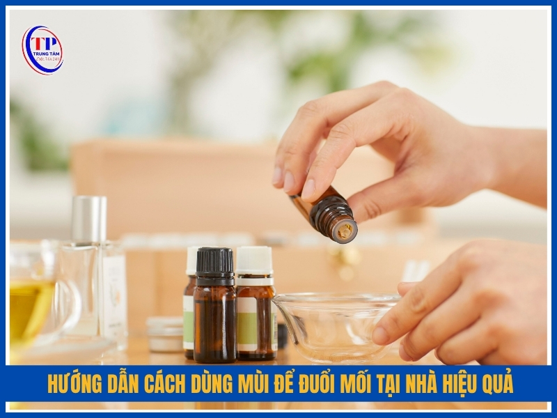 Hướng dẫn cách dùng mùi để đuổi mối tại nhà hiệu quả