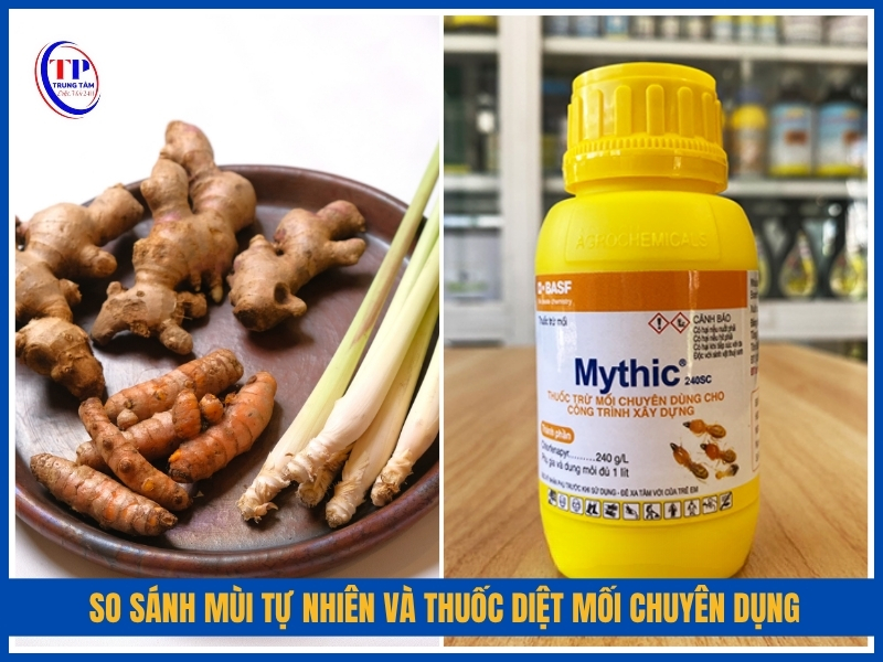 So sánh mùi tự nhiên và thuốc diệt mối chuyên dụng